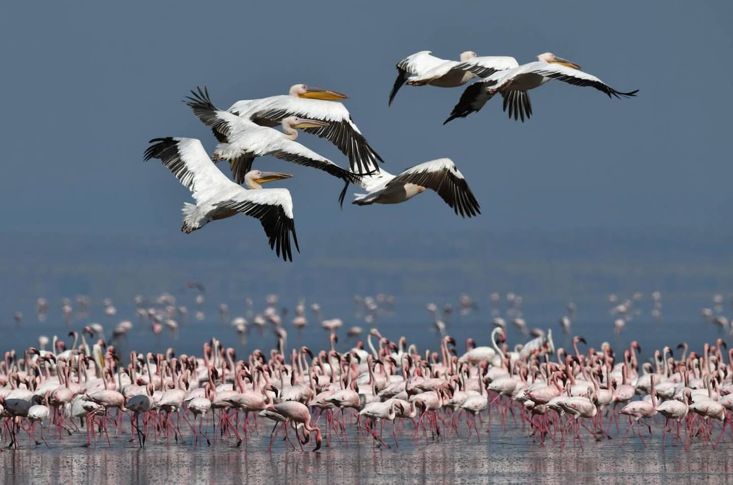 Tanzania memories
