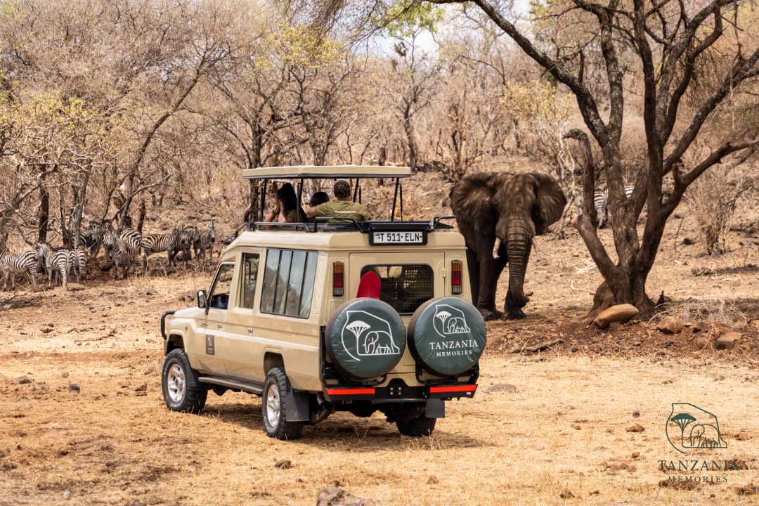 Private safari vehicle