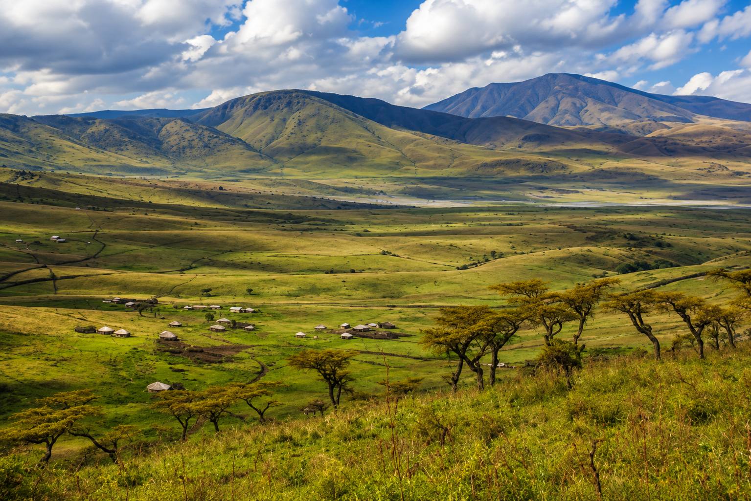 Tanzania Safari Circuits: Explore Nature's Best in Four Unique Regions
