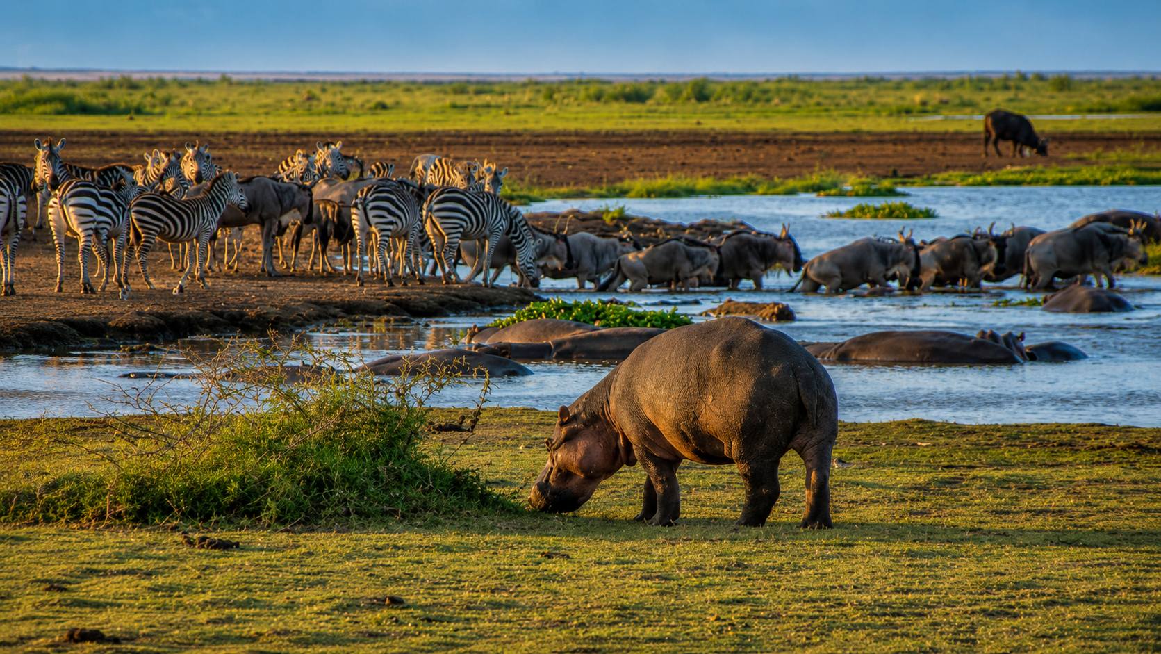 A Natural Wonderland: Dive into the Magic of Lake Manyara National Park