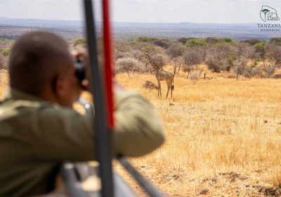 2 Day Safari In Tanzania, Tarangire & Ngorongoro Crater