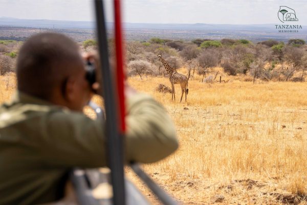 2 Day Safari In Tanzania, Tarangire & Ngorongoro Crater