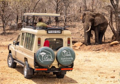 3 Day Explore the Wonders of Arusha Park, Tarangire, & Lake Manyara