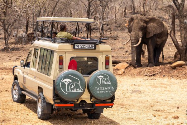 3 Day Explore the Wonders of Arusha Park, Tarangire, & Lake Manyara