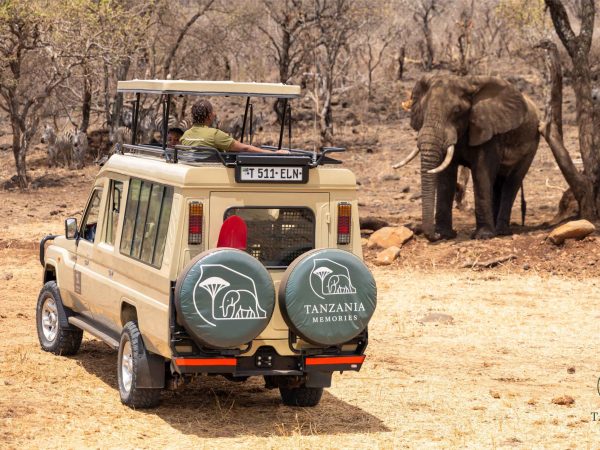 3 Day Explore the Wonders of Arusha Park, Tarangire, & Lake Manyara