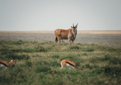 6-Day Journey Through Nature’s Finest Treasures
