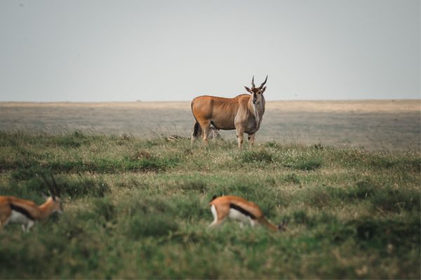 6-Day Journey Through Nature’s Finest Treasures