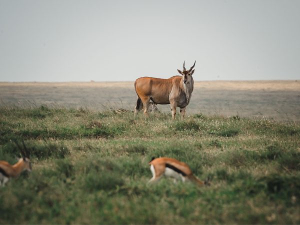 6-Day Journey Through Nature’s Finest Treasures