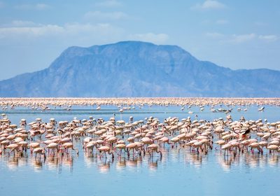 Lake Natron’s Mysteries