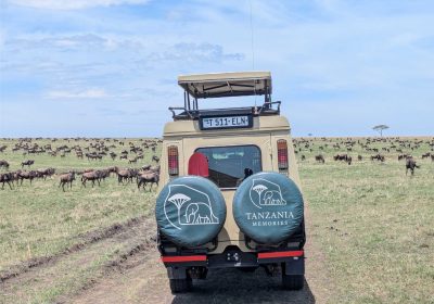 7 Days, witnessing  the NDUTU Calving Season