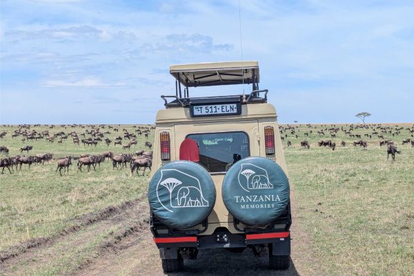 7 Days, witnessing  the NDUTU Calving Season