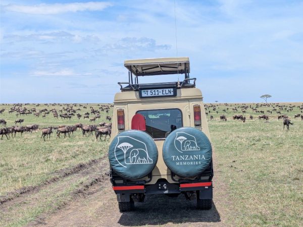 7 Days, witnessing  the NDUTU Calving Season