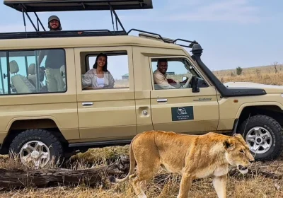 8 Day Pathways of the Past An Authentic Maasai & Safari Retreat