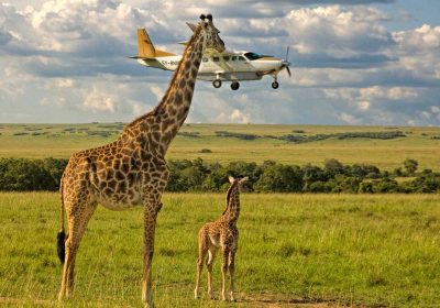 4-Day Serengeti Safari – Fly from Zanzibar and Back