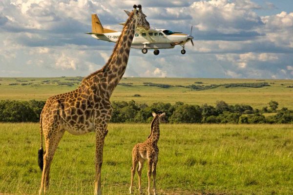 4-Day Serengeti Safari – Fly from Zanzibar and Back