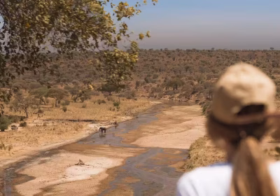 Discover Tarangire National Park 