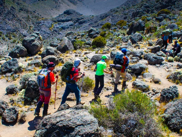 6 Day Trekking Kilimanjaro – Rongai Route