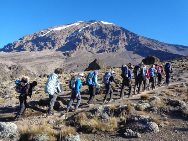 7 Day Trekking Kilimanjaro – Lemosho Route
