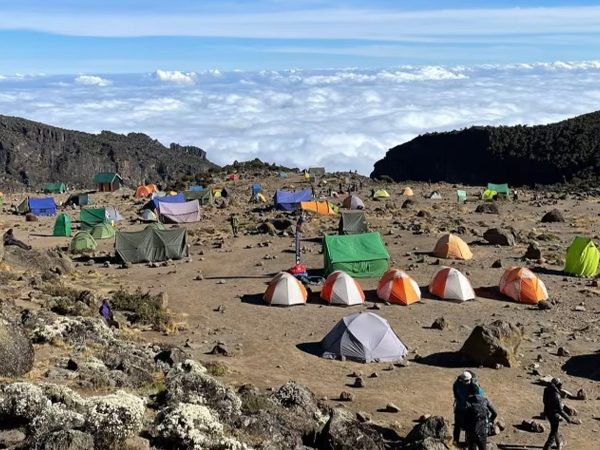 8 Day Trekking Kilimanjaro – Lemosho Route