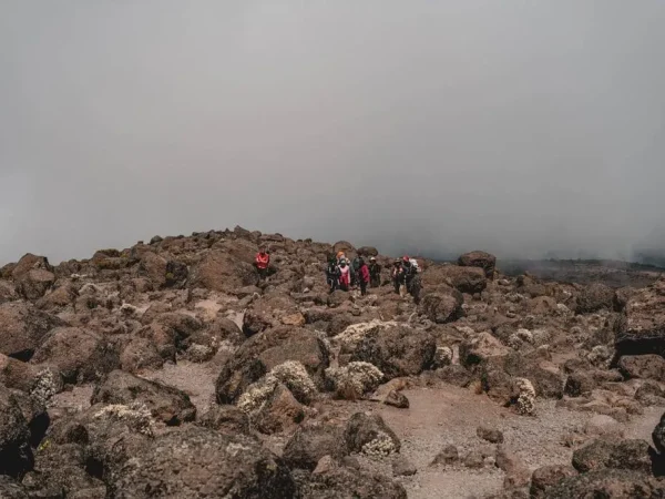 4 Days Mount Meru Trek (Best Acclimatization)