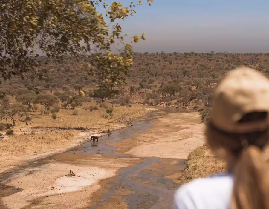tarangire-national-park